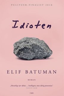 14) Til intellektuelle Sarah  på 21, der trænger til afveksling i rækken af klassikere, er der 'Idioten' af Elif Batuman - Året er 1995. Selina er lige begyndt på Harvard, og verden ligger åben.  En fortælling om en ung spirende forfatters vej ud i livet.