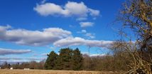 Kan være svært at se, men denne blå marts-himmel gemmer på en musvåge.
