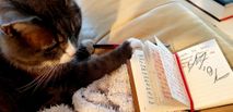Og en kat der er begyndt at skrive dagbog.